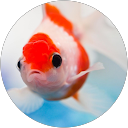 S Uma Mageshwari profile picture